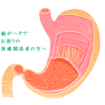 胃イラスト-解剖図