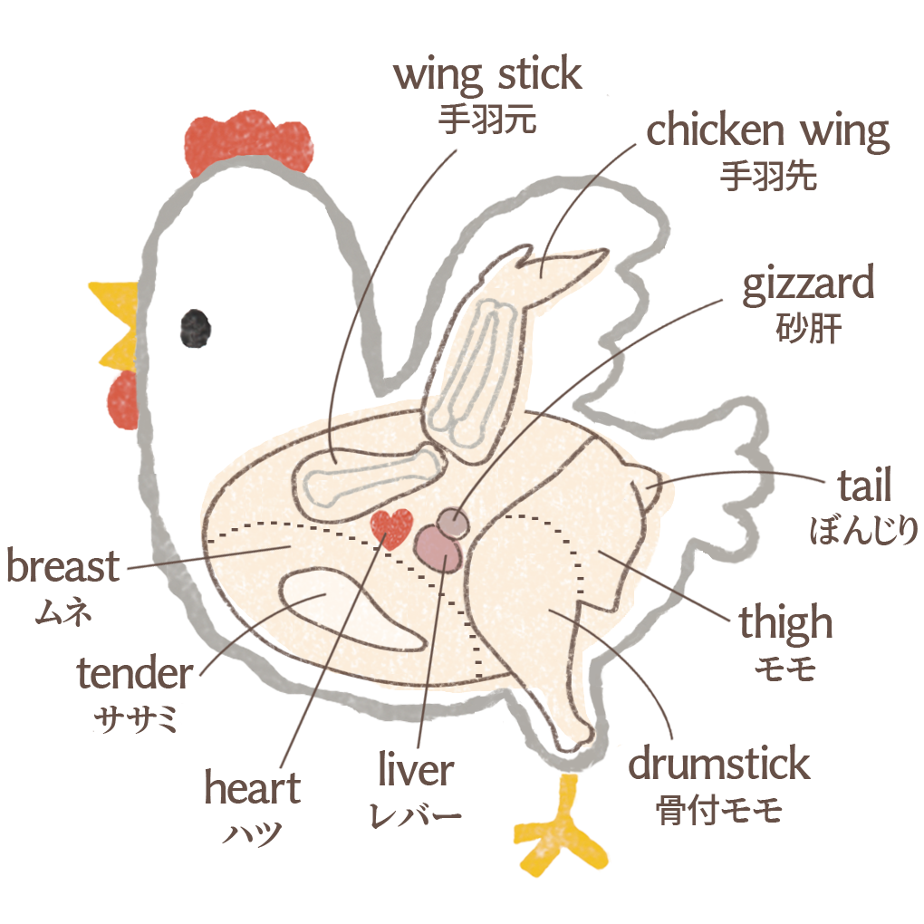 【フリー素材ずーあん】の鶏肉の部位を説明するイラスト　英語表記