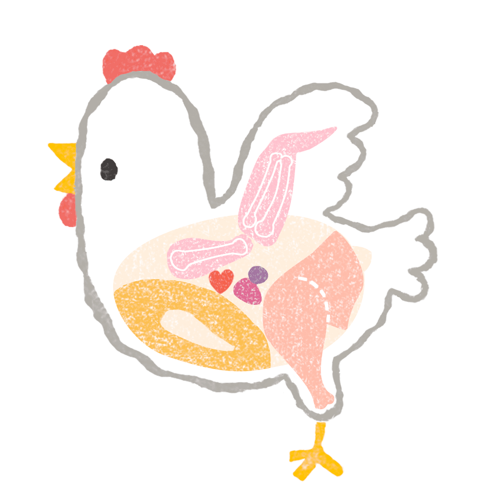 【フリー素材ずーあん】の鶏肉の部位説明に使える無料イラスト