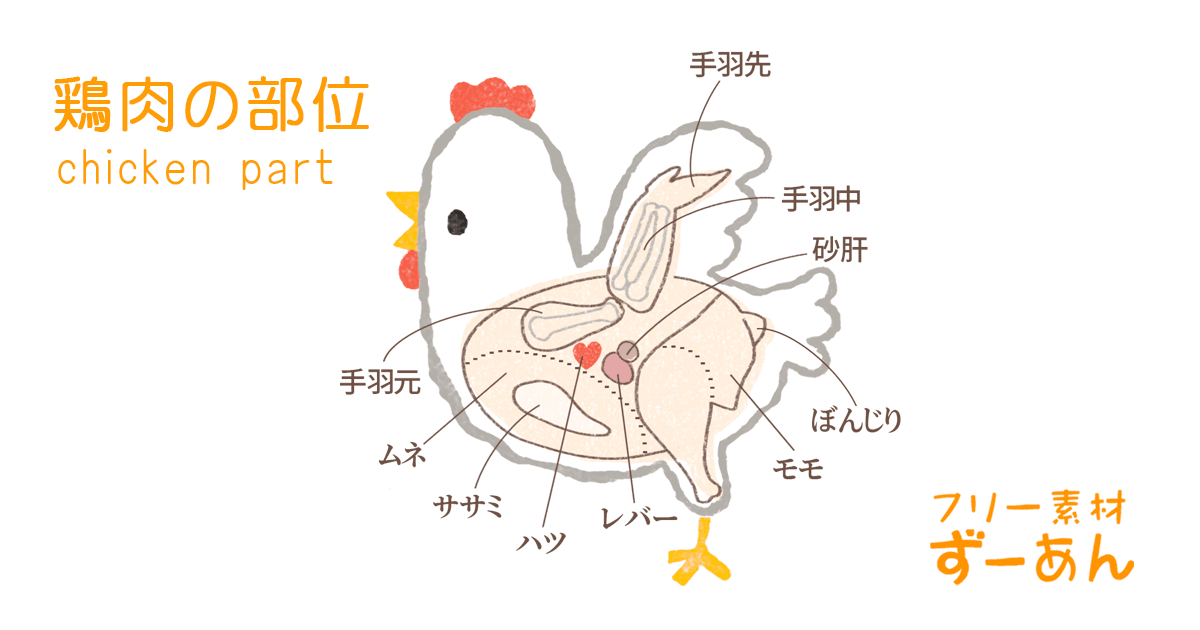 【フリー素材ずーあん】の鶏肉の部位を説明する無料イラスト