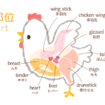 鶏肉の部位-無料イラスト（塗面多め）