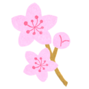 【フリー素材ずーあん】の桃の花無料イラスト